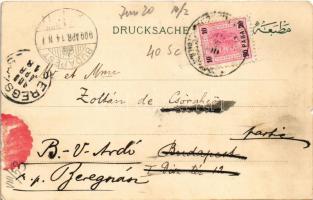 1900 Constantinople, Istanbul; Salut du Bosphore. Emil Pinkau & Cie / Bosphorus. Art Nouveau, li...