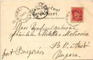 1899 (Vorläufer) Hammerfest, Meridianstötten, Kirkens Indre, Midnatsol / monument, church interior, ...