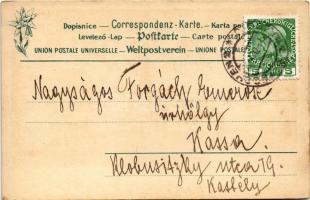 1912 Ustron, Weichsel, Moor-, Schlamm- und Wellenbad, ältest. Molkencur i.d. schles. Beskiden, Am Te...