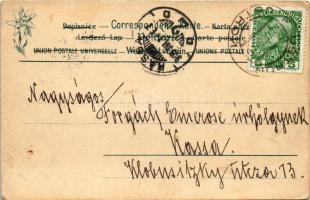 1909 Ustron, Weichsel, Moor-, Schlamm- und Wellenbad, ältest. Molkencur i.d. schles. Beskiden, Das R...