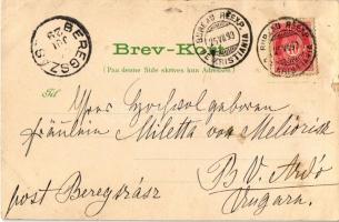 1899 (Vorläufer) Oslo, Christiania, Kristiania; Grand Hotel interior with waiter. Art Nouveau, litho...