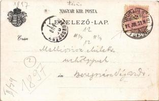 1897 (Vorläufer) Budapest, Panoráma a királyi vártól, Operaház, magyar zászló és címer. Art Nouveau,...