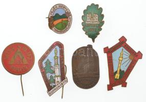 6db-os természetjáró jelvénytétel, közte zománcozott darabok T:AU-VF közte tűhiányos darabok