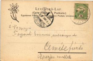 1906 Tátra, Tatry; Dunajeci hajózás, tutaj. Feitzinger Ede 354. Pf. 1904/15 / Przejazd Dunajcem prze...