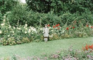 1956 Budapest, a Margitsziget színes felvételeken, a képek elősorban családi emlékképek, de a korabe...