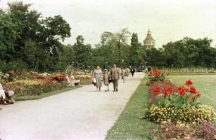 1956 Budapest, a Margitsziget színes felvételeken, a képek elősorban családi emlékképek, de a korabe...