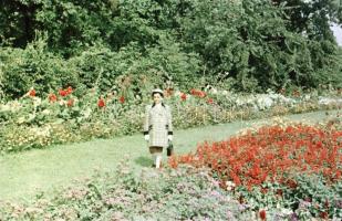 1956 Budapest, a Margitsziget színes felvételeken, a képek elősorban családi emlékképek, de a korabe...