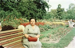 1956 Budapest, a Margitsziget színes felvételeken, a képek elősorban családi emlékképek, de a korabe...