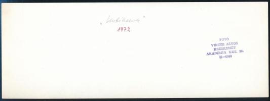 1972 Vincze János (1922-1999) kecskeméti fotóművész hagyatékából, feliratozott és pecséttel jelzett ...