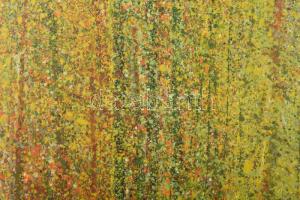 Karsch, Manfred (1948-): Tájvízió XX., 2022. Akril, vászon, jelezve jobbra lent, hátoldalán autográf...