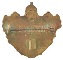 1915. "Kárpáti győzelem 1915" zománcozott bronz patrióta jelvény, hátoldalán "A Hadse...