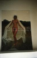 cca 1980-1995 Menesdorfer Lajos (1941-2005) budapesti fotóművész hagyatékából 60 db reprodukciós NEG...