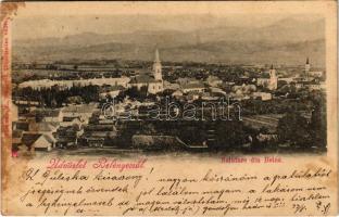 1900 Belényes, Beius; Salutare din Benis / látkép. Süssmann L. kiadása / general view (fl)