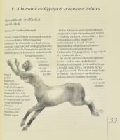 Csányi Vilmos - Makovecz Benjamin: A kentaur természetrajza. Anatómiája, élettana, viselkedése és ku...