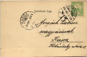 1904 Miskolc, Népkerti vigadó (EK)