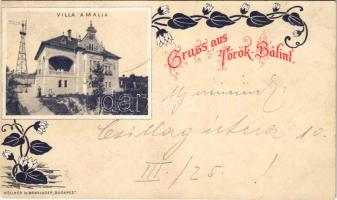 1899 (Vorläufer) Törökbálint, Villa Amália, szélmotor (szélmalom). Kellner és Mohrlüder Art Nouveau, floral (vágott / cut)