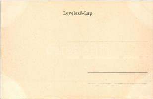 Nagybecskerek, Zrenjanin, Veliki Beckerek; Hunyady utca, üzletek / street, shops