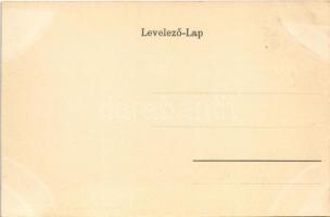 Nagybecskerek, Zrenjanin, Veliki Beckerek; Megyeház, piac / Comitäts Gebäude / county hall, market