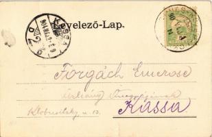 1904 Gyimesbükk, Ghimes-Faget (Gyimes, Ghimes); Határszéli lépcsők és a Rákóczi vár, csendőrök. Szvo...