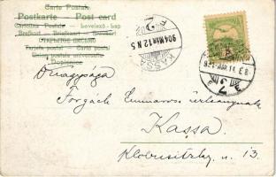 1904 Temesvár, Timisoara; pályaudvar, vasútállomás. Káldor Zs. és társa kiadása / railway station. A...