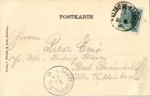 1901 Salzburg, Hotel de l'Europe. Würthle & Sohn Art Nouveau, floral, litho