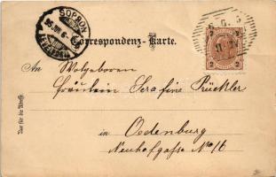 1895 (Vorläufer) Bad Vöslau, Hotel Hallmayer. Heinrich Bruckmüller No. 794. Art Nouveau, floral, lit...