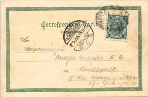 1902 Klagenfurt, Landhaus, Lend, Neuer Platz und Rainerhaus. Ottmar Zieher Art Nouveau, floral, lith...