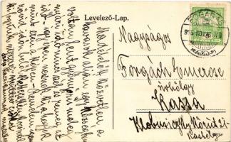 1915 Fogaras, Fagaras; látkép, utca, Heinrich Schul üzlete, hotel, M. kir. állami főgimnázium. Fleis...