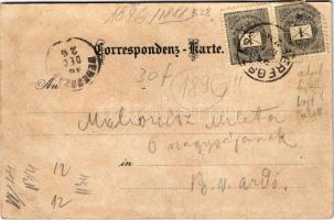 1896 (Vorläufer) Bad Ischl, Hotel Vorm. Bauer, Hochjoch, Jainzenberg, Erlakogel, Höllengebirge, Bren...