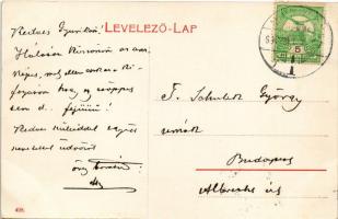 1907 Miskolc, Hajós-tanya parkja