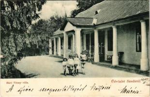 1908 Szada, Báró Vécsey villa, gyerekek kutyával. Keppich Mór kiadása (EK)