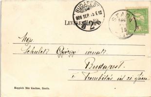 1908 Szada, Báró Vécsey villa, gyerekek kutyával. Keppich Mór kiadása (EK)