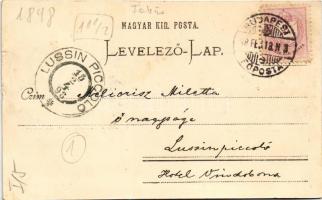 1898 (Vorläufer) Budapest V. Részlet a Dunáról az országházzal, budai rakpart. D. Halberstadt (EK)