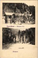 1922 Thurzófüred, Kupele Turzo (Gölnicbánya, Gelnica); Bányász Villa és tó. Divald / lake and villa