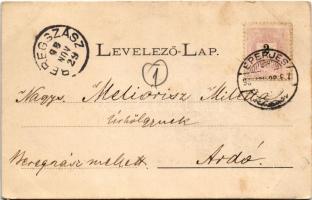 1898 (Vorläufer) Eperjes, Presov; Szentháromság szobor, népviselet, utca / Trinity statue, folklore,...