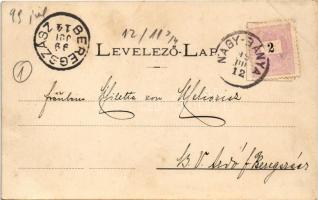 1899 (Vorläufer) Nagybánya, Baia Mare; Fő tér északi oldala, üzletek. Divald / main square, shops (E...