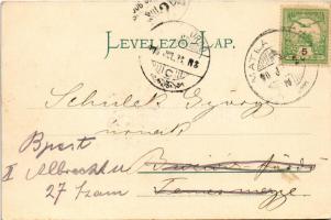 1906 Matlárháza, Matliary, Tatranské Matliare (Magas-Tátra, Vysoké Tatry); nyaraló. Kuszmann Gyula k...