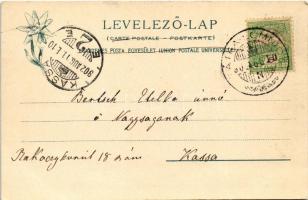 1902 Tátralomnic, Tatranská Lomnica (Magas-Tátra, Vysoké Tatry); Gyógyház. Feitzinger Ede 79 bt. / s...