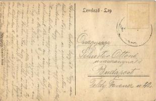 Stószfürdő, Stoósz-fürdő, Kúpele Stós; részlet a nyaralókkal. Wlaszlovits Gusztáv kiadása / villas (...