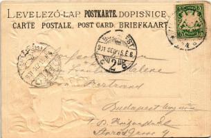 1901 München, Munich; Odeonsplatz und Ludwigstrasse. A. Fleischmann Art Nouveau, embossed litho