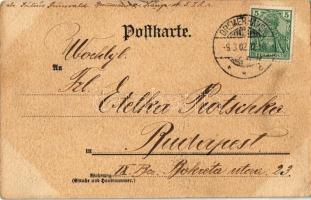 1902 Bremerhaven, Bürgerm. Smidtstrasse, Nordwestdeutsche Zeitung / street, newspaper montage. Art N...