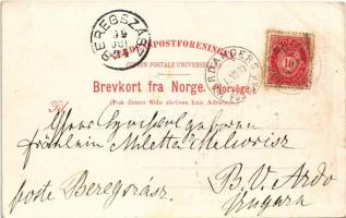 1899 (Vorläufer) Hardanger, Brud, kone / Norwegian flag and folklore: bride and wife.Art Nouveau, fl...