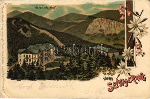 1899 (Vorläufer) Semmering, Hotel Waldhof. Art Nouveau, floral, litho (Rb)