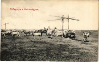 1909 Hortobágy, Ökörgulya az itatónál