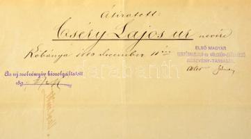 Pest 1871. "Első Magyar Sertéshizlaló és Kölcsön Előlegező Társulat" részvénye 200Ft-ról s...