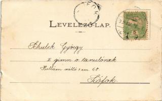 1905 Nagysáros, Velky Saris; Sárosi vár romjai. Fénynyomat Divald műintézetéből / Sarissky hrad / ca...