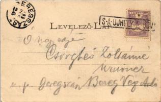 1900 Sátoraljaújhely. Lővy Adolf kiadása + "S-A-UJHELY P. UDV."