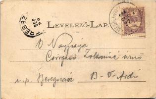 1900 Bodrogolaszi, Gróf Lónyay Elemér és Stefánia kastélya télen. Lövy A. kiadása (EK)