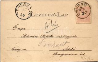 1899 (Vorläufer) Csurgó, utca. Vágó Gyula kiadása