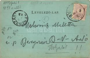 1899 (Vorläufer) Miskolc, Hámori tó este. Ferenczi B. kiadása (fl)